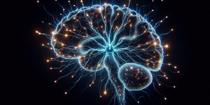 pqq role in mitochondrial biogenesis